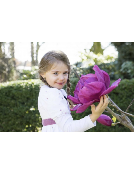 Magnolia MEGANOLIA®