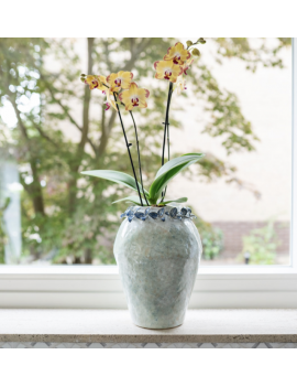 wAZON Irene 22cm x 30 cm